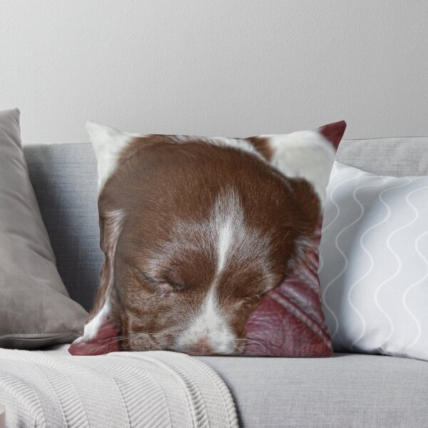 Item preview, Martha at 7 weeks "asleep for a change" designed and sold by popupstands.