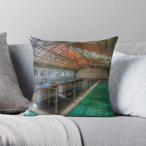 Roman Museum Throw Pillow