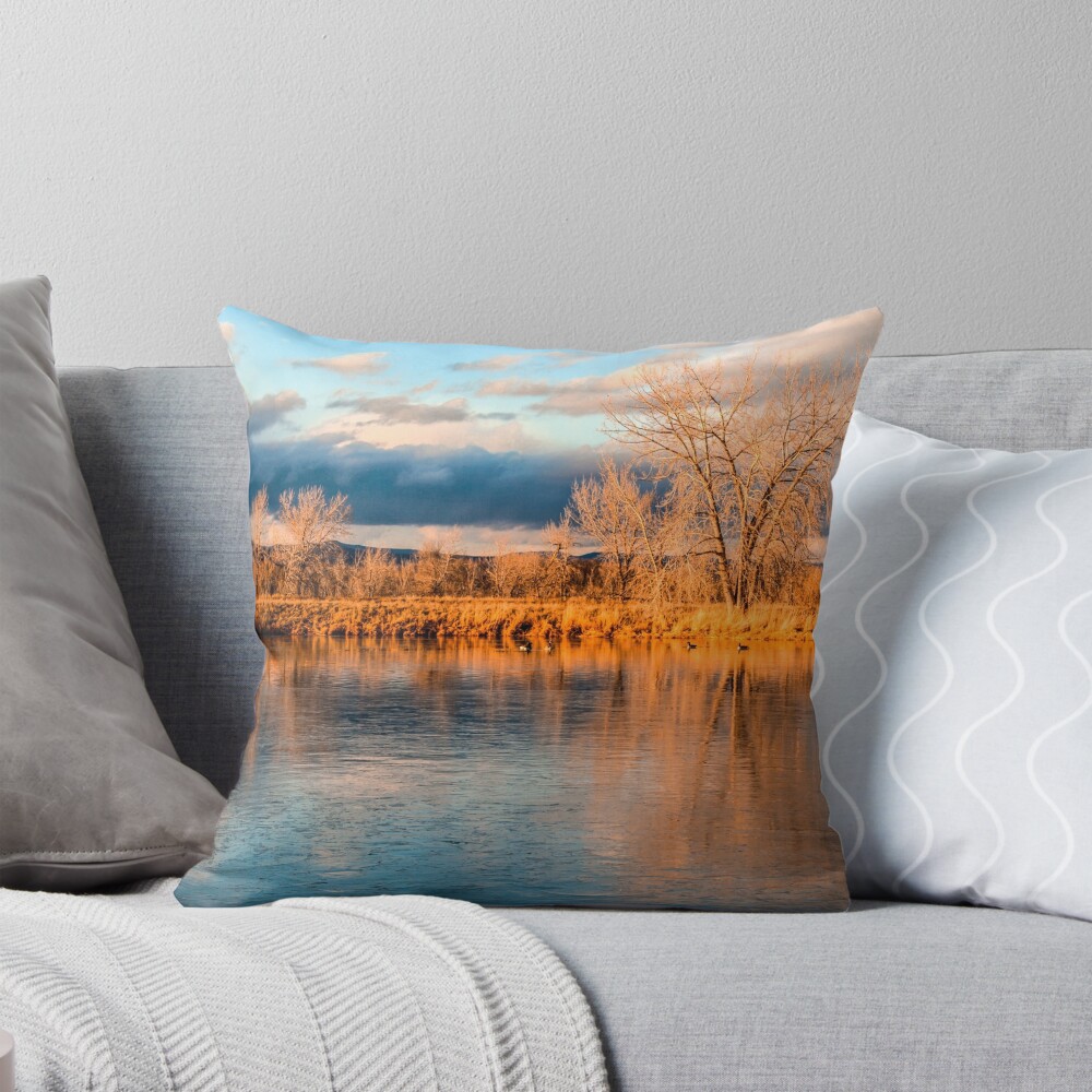 Item preview, Throw Pillow designed and sold by nikongreg.
