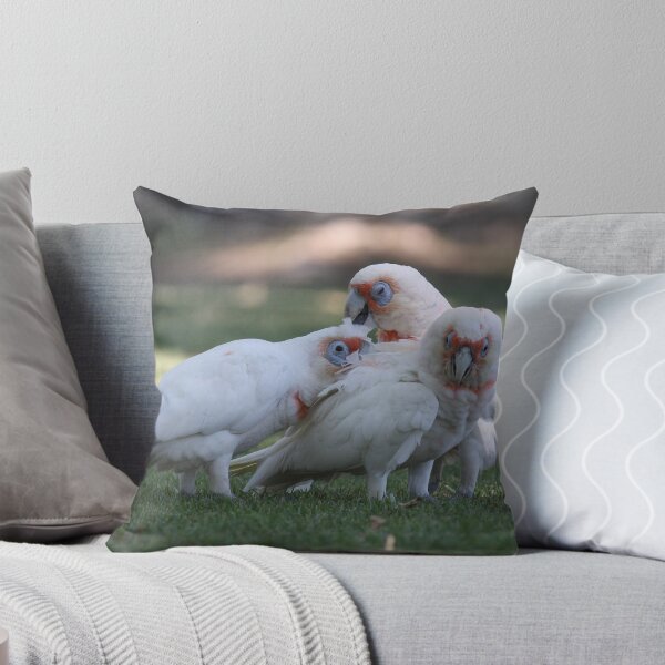 Item preview, Scritch Scratch Trio designed and sold by Phillip Weyers.