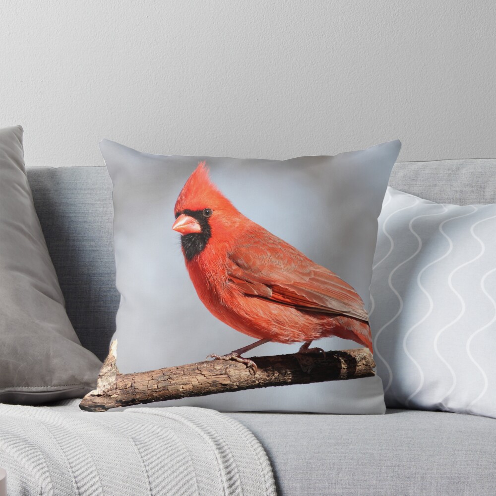 Item preview, Throw Pillow designed and sold by ziggy7.