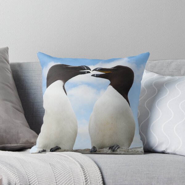 Item preview, Razorbills chatting, Saltee Island, County Wexford, Ireland designed and sold by AndrewJonesFoto.
