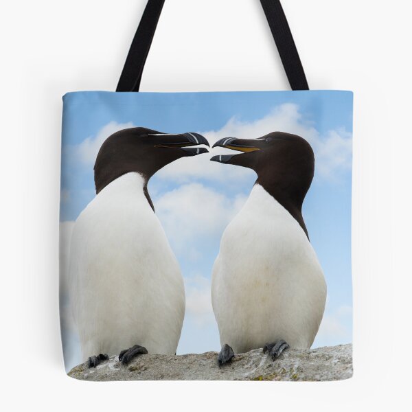Item preview, Razorbills chatting, Saltee Island, County Wexford, Ireland designed and sold by AndrewJonesFoto.