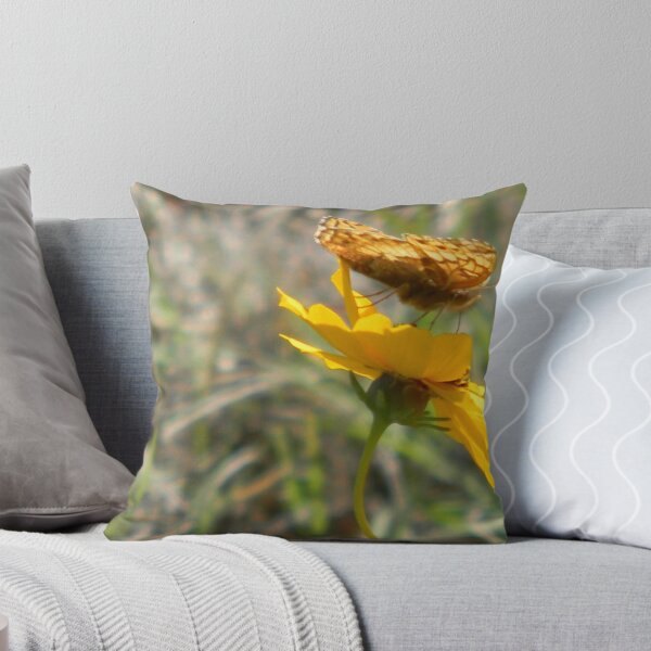 Item preview, New Arrivals - Holding On designed and sold by Navigator.