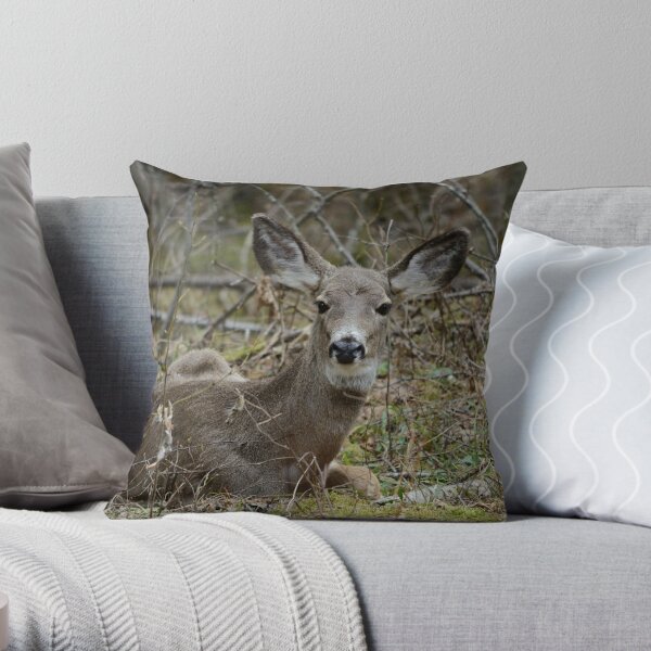 Doe resting in the woods Throw Pillow
