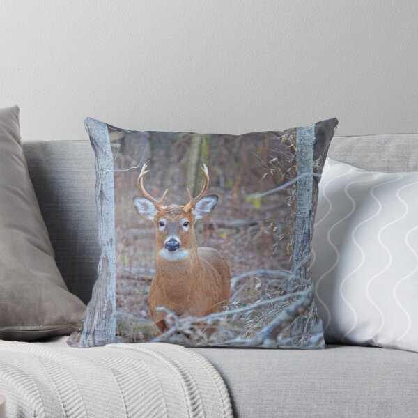 Item preview, WHITE-TAILED BUCK designed and sold by Nikonshot1.