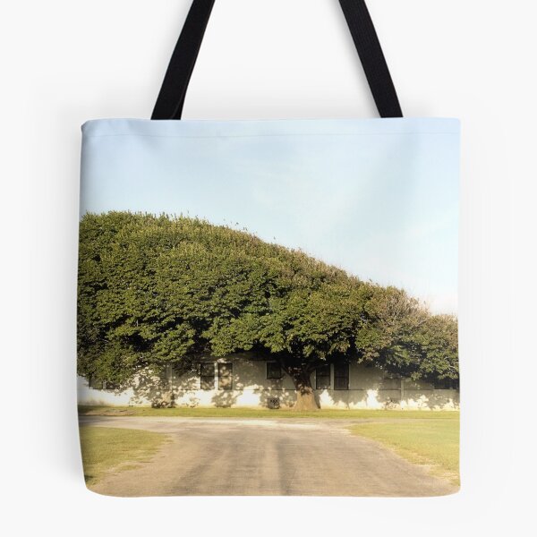 Item preview, Tree On The Coast designed and sold by SuddenJim.