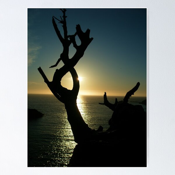 Item preview, Reach towards the light designed and sold by Clancey Meyer-Gilbride.