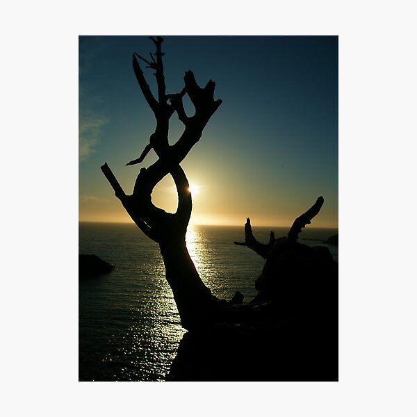 Item preview, Reach towards the light designed and sold by Clancey Meyer-Gilbride.