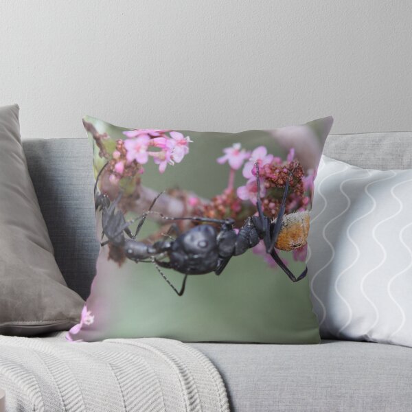 Item preview, The Kissss... designed and sold by Rina Greeff.