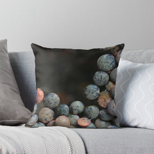 Item preview, lentilles du Puy designed and sold by yvesrossetti.