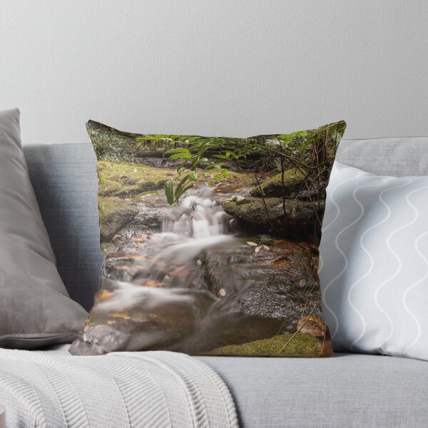 Item preview, Springbrook National Park designed and sold by Ron Finkel.