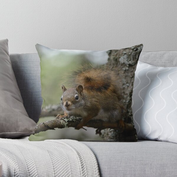 Squirrel in fir tree 1 Throw Pillow