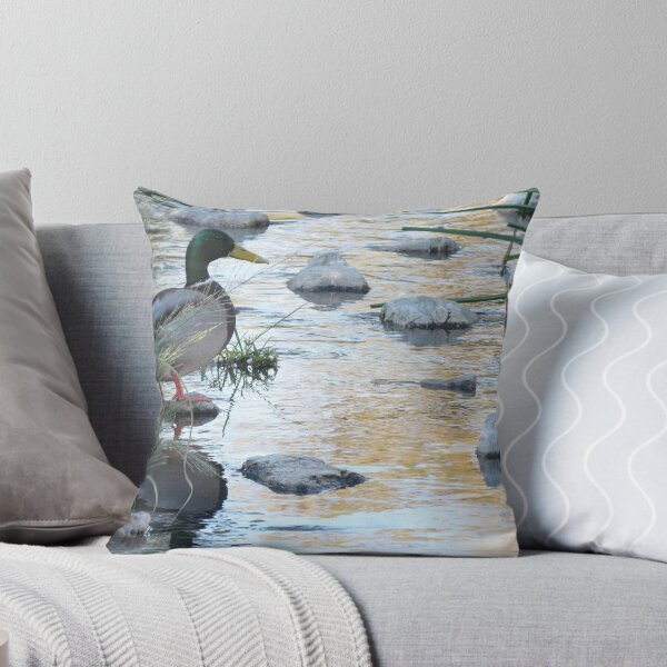 Item preview, Mallard Morning (Drake) designed and sold by Luck of the Shutter.
