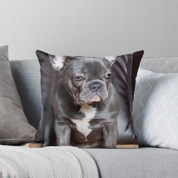 Item preview, french bulldog designed and sold by Falko-Follert.