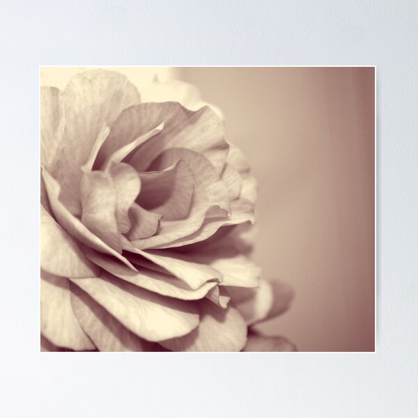 Item preview, Floral designed and sold by amaniacadored.