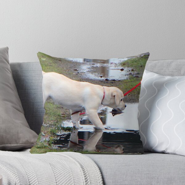 Item preview, First Puddle designed and sold by Lesliebc.