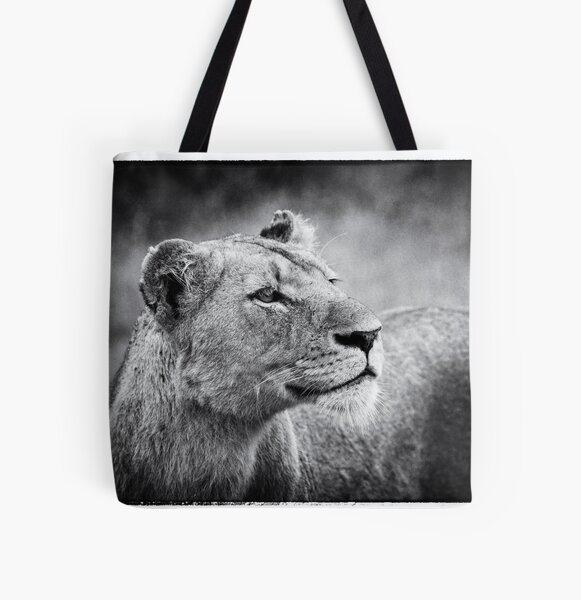 Item preview, Lioness In Wait designed and sold by Michael Moss Photography.