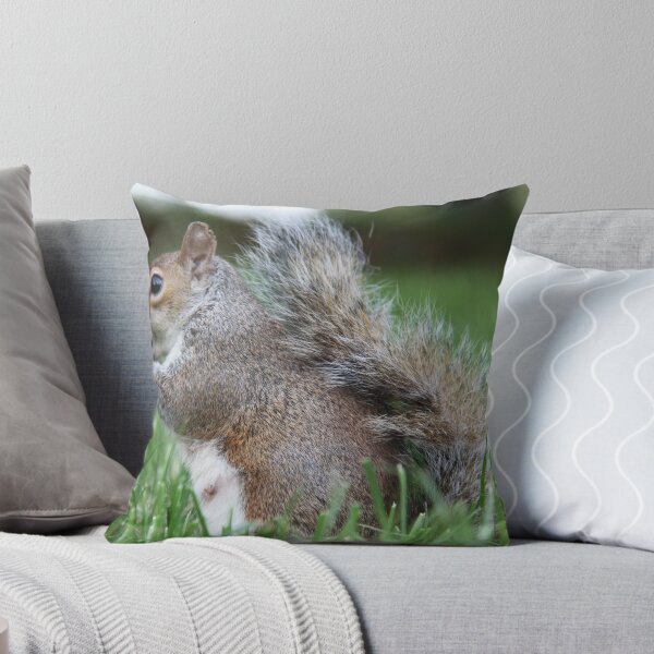 Item preview, squirrel designed and sold by csajos.