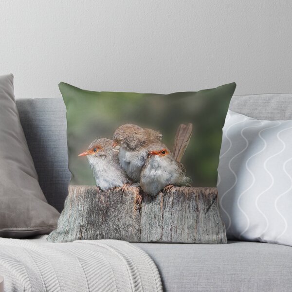 Artikelvorschau, Our Baby Wrens entworfen und verkauft von Helenvandy.