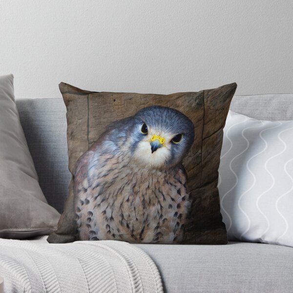Item preview, Falco tinnunculus or the common Kestrel designed and sold by Fe Messenger.