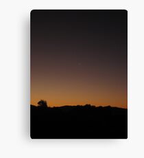 Slither Canvas Print