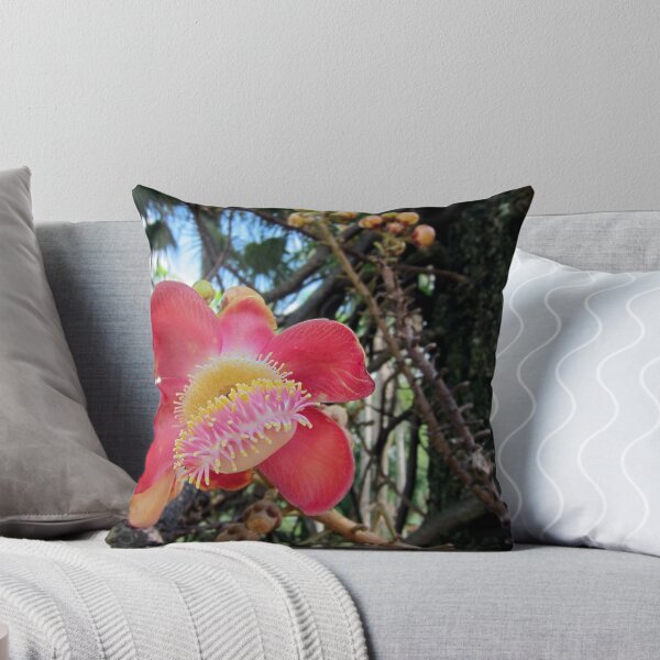 Item preview, Cannonball Tree designed and sold by Akrotiri.