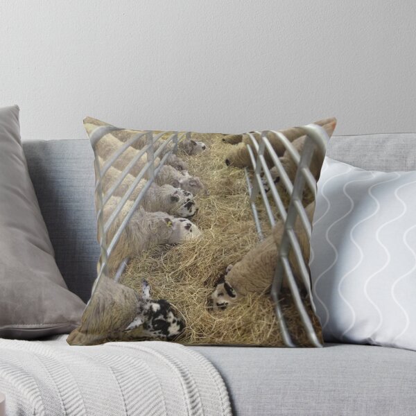 Item preview, sheep designed and sold by Robert Steadman.