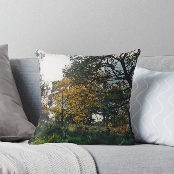 Item preview, Open Woods 5 designed and sold by Robbie Patterson.