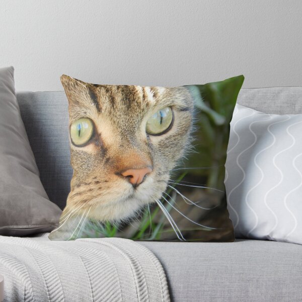Do you see what I see? Throw Pillow
