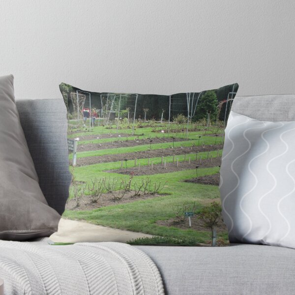 Item preview, Portland's Rose Garden designed and sold by AuntieBarbie.