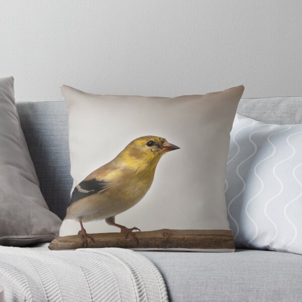 Aperçu de l'œuvre American goldfinch créée et vendue par Penny Fawver.