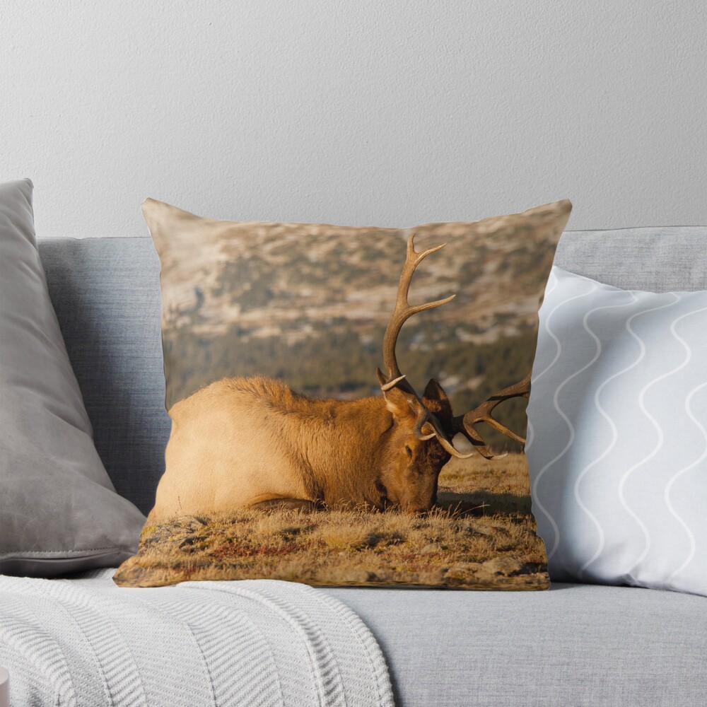 Item preview, Throw Pillow designed and sold by nikongreg.