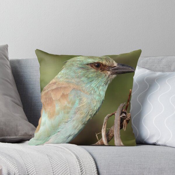 Item preview, European roller designed and sold by Anthony Goldman.