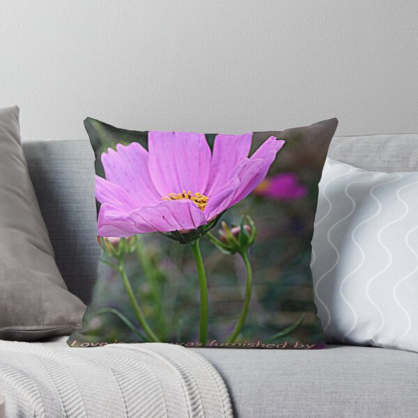 Aperçu de l'œuvre Delightful Cosmo créée et vendue par kkphoto1.