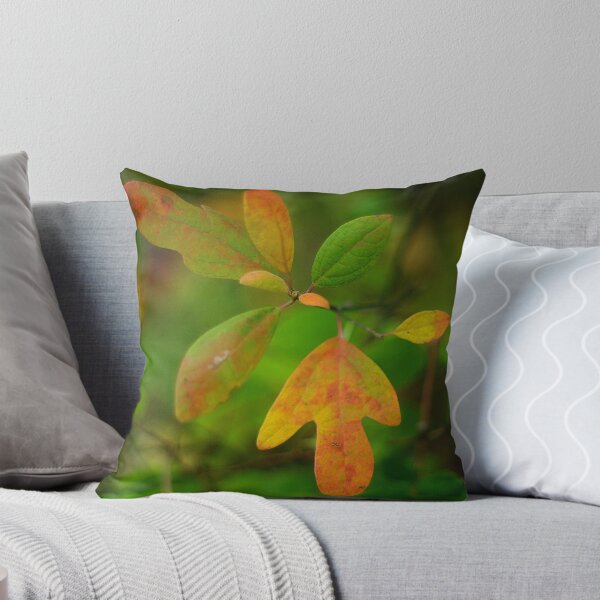 Artikelvorschau, Autumn Tulip Poplar  entworfen und verkauft von Arteffecting.
