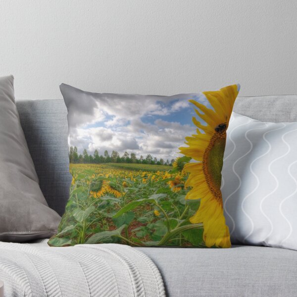 Item preview, Devon Sunflower Field designed and sold by benivory.