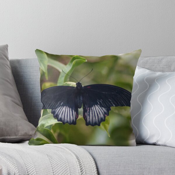 Item preview, La mariposa mormona designed and sold by gharris.