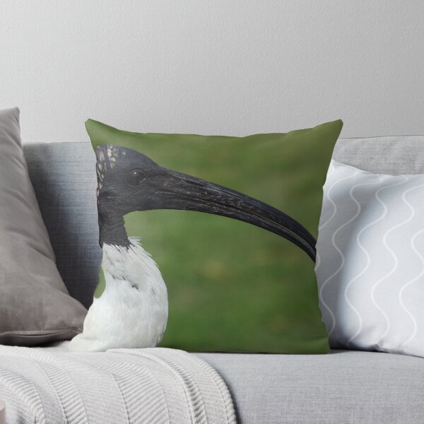 Item preview, Ibis details designed and sold by Paul Todd.