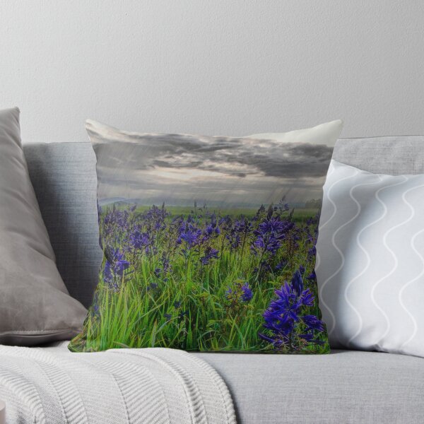 Item preview, Even When It Rains designed and sold by Charles & Patricia   Harkins ~ Picture Oregon.