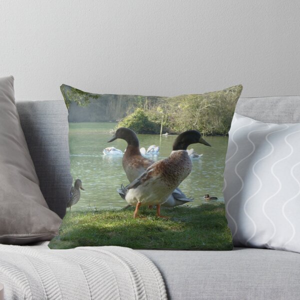 Artikelvorschau, couple of ducks at  arundel entworfen und verkauft von normhill.