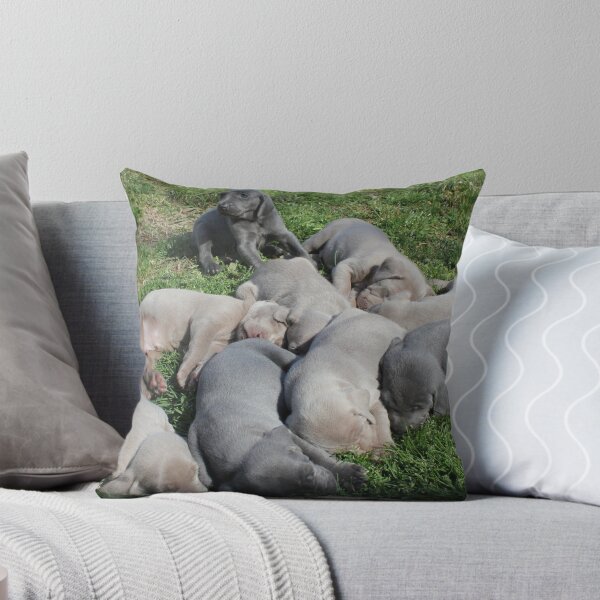 Item preview, Fighting Sleep designed and sold by DebbieCHayes.