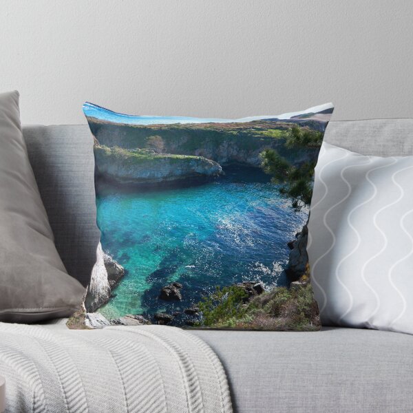 China Cove Throw Pillow
