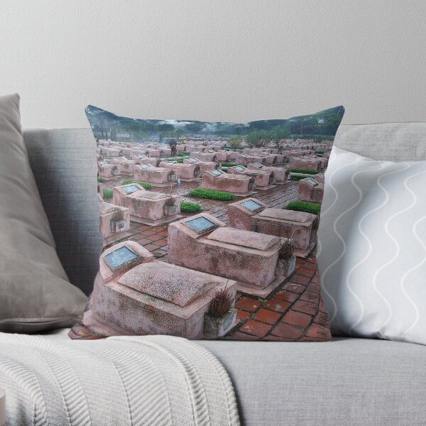 Remembrance of the American war Throw Pillow