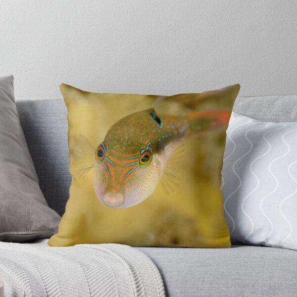 Item preview, Bennett's Pufferfish - Canthigaster bennetti designed and sold by Andrew Trevor-Jones.
