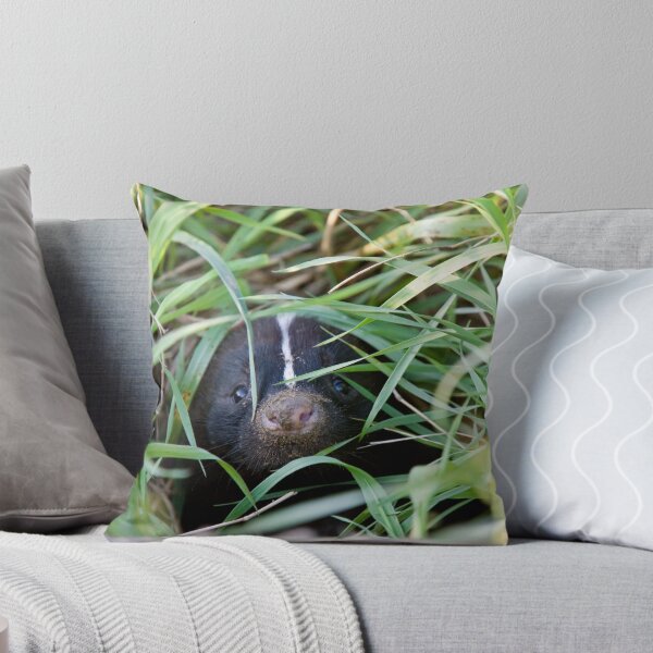Item preview, Baby Skunk at den young peeking Canada designed and sold by pictureguy.