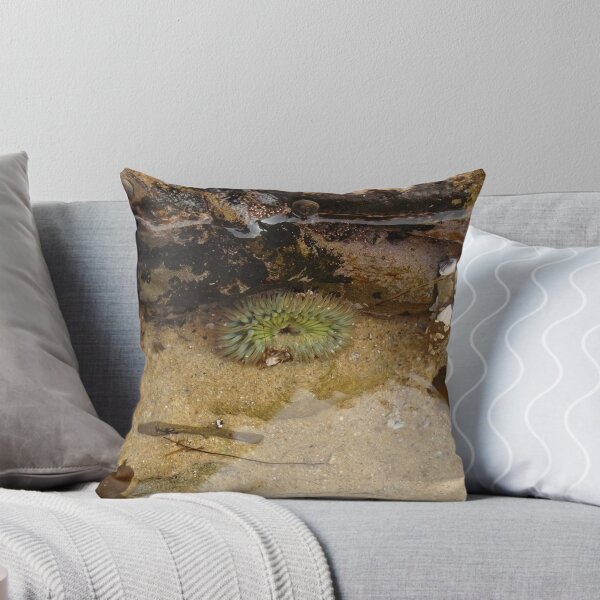Item preview, Laguna Beach Tidepool designed and sold by Chad Burrall.