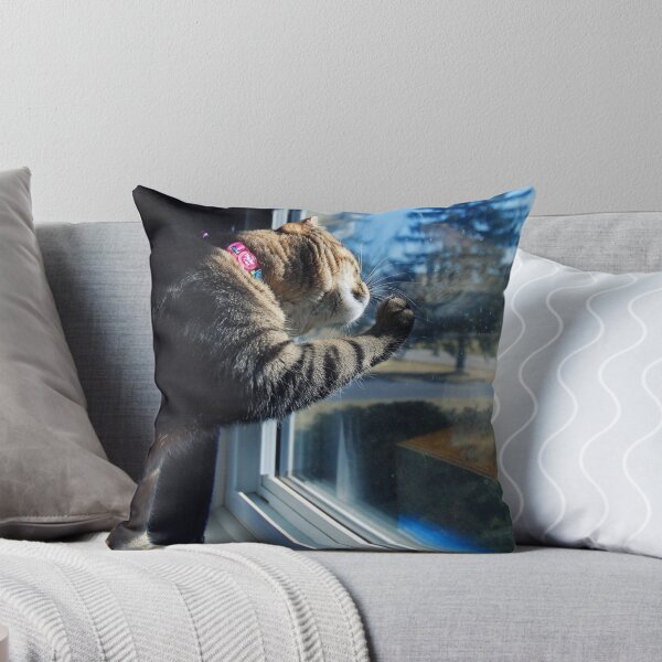 Item preview, Why The Window Is Always Dirty designed and sold by jodi payne.