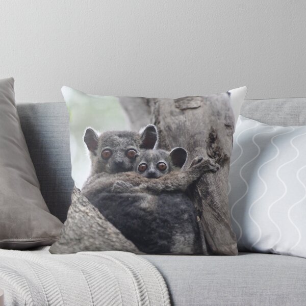 Aperçu de l'œuvre 'Sportive Lemur' with Baby - Madagascar créée et vendue par CharlotteMorse.