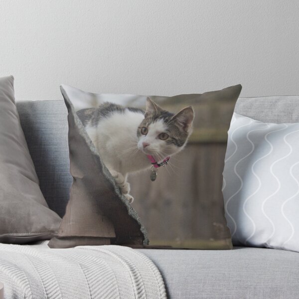 Item preview, Exploring Kitten designed and sold by RoryMackenzie.
